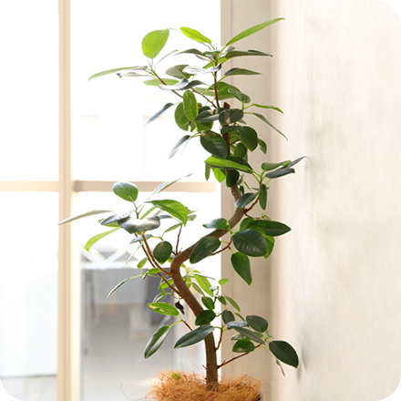 国分寺イーストクリニック